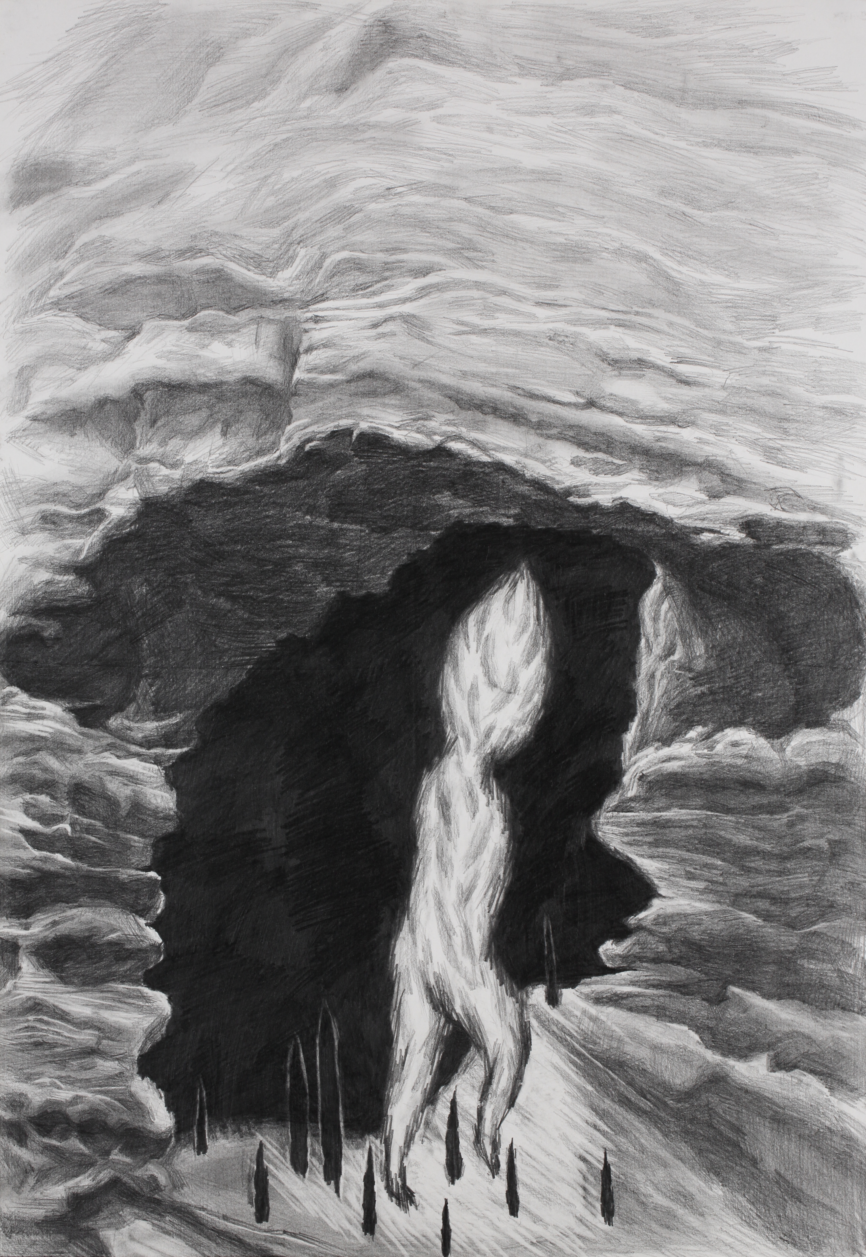 자라난다 glow_pencil on paper_64.5x47.0cm_2016