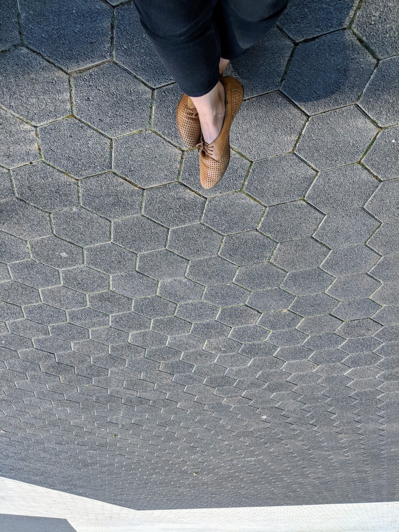 Aug 15, 2018: Harbourfront, Toronto
