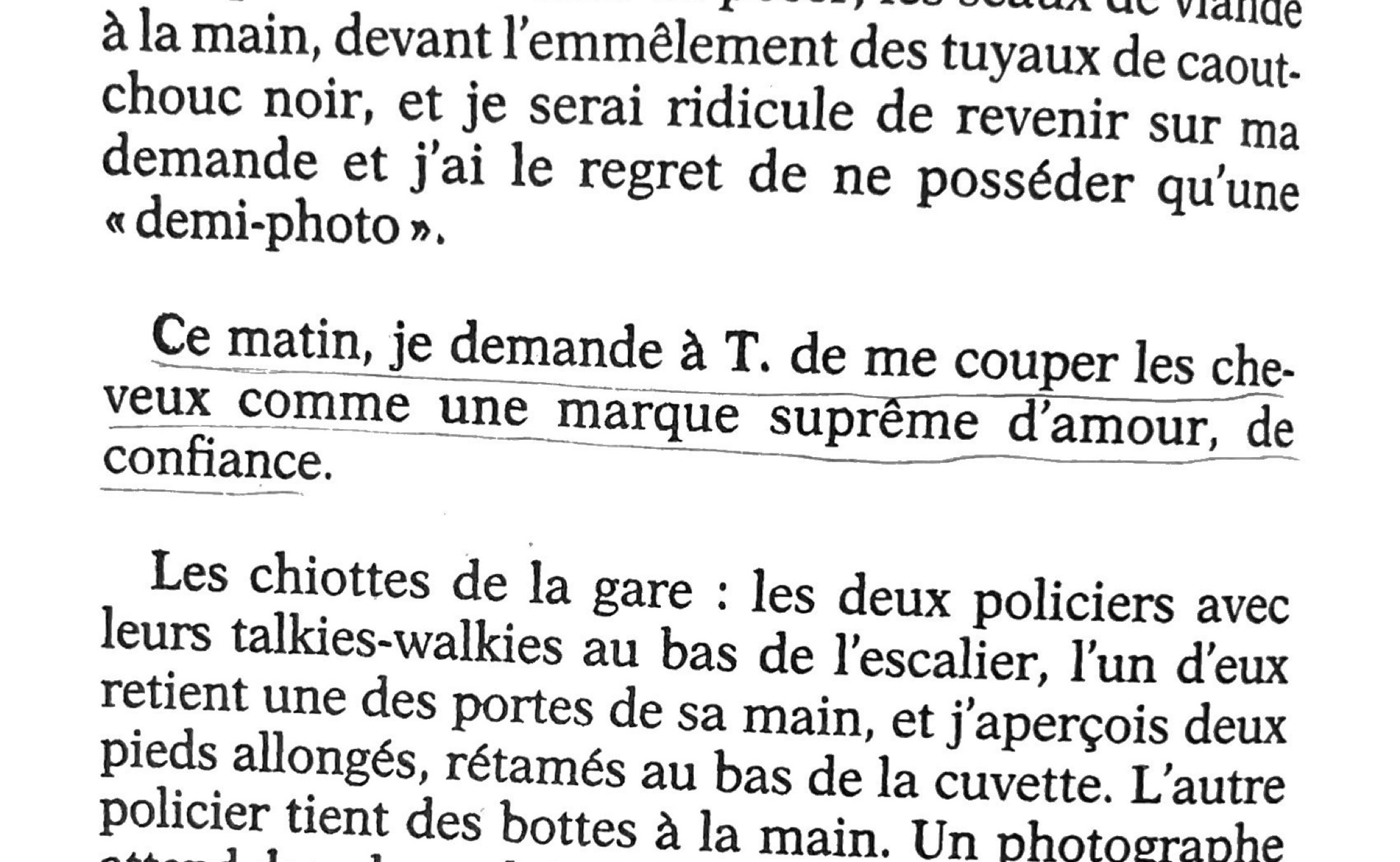 Le Mausol&eacute;e des amants, Herv&eacute; Guibert