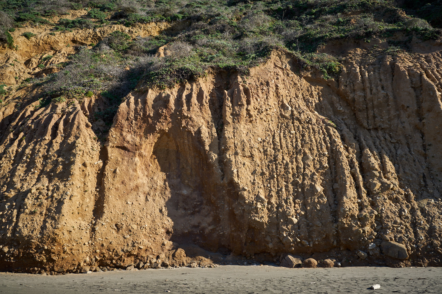 2019 Point Reyes California