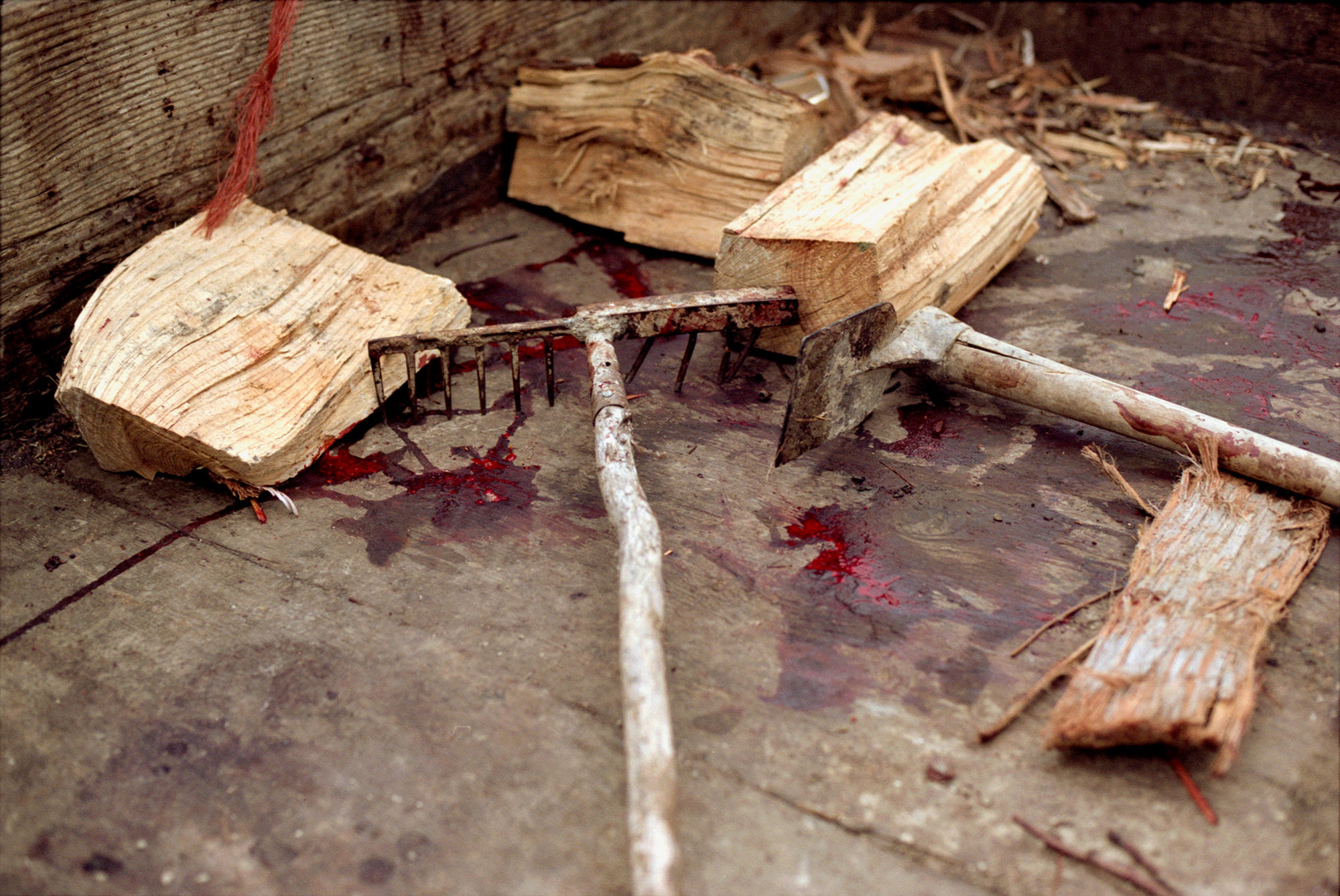 1/4Hawea, 2004 (041019_027)