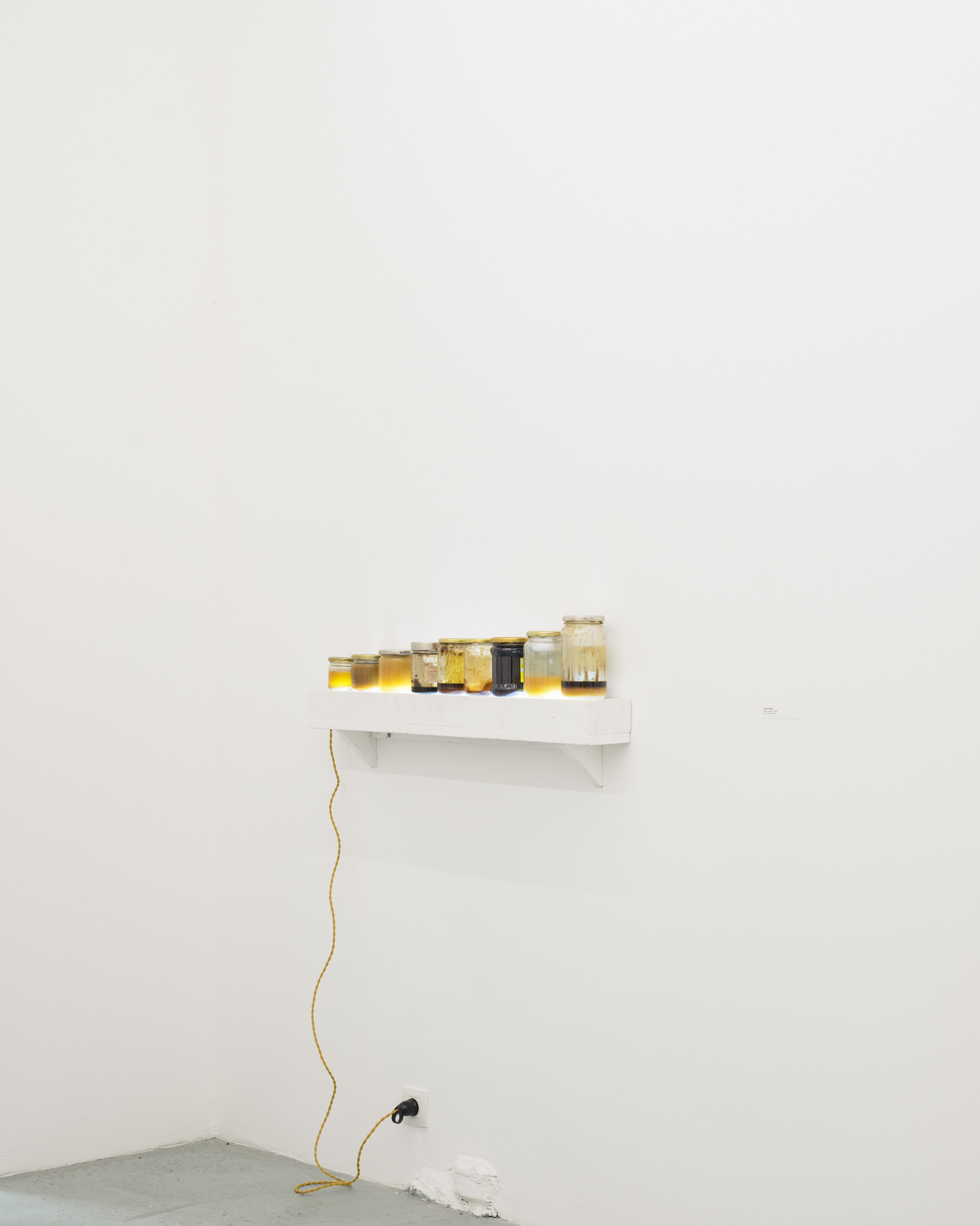 P|cture by Fabien Silvestre Suzor