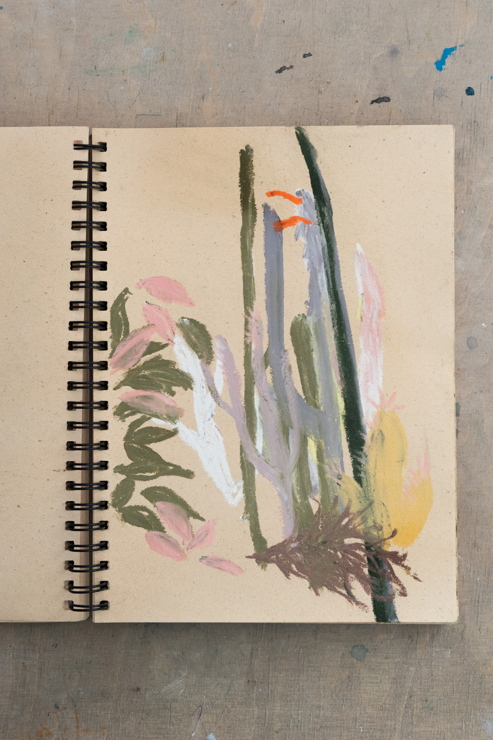 drawing in Botanic Garden