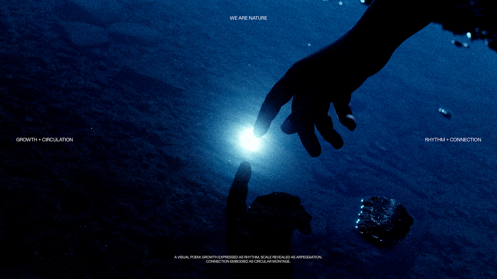 THE NAT – Nature Returns Film