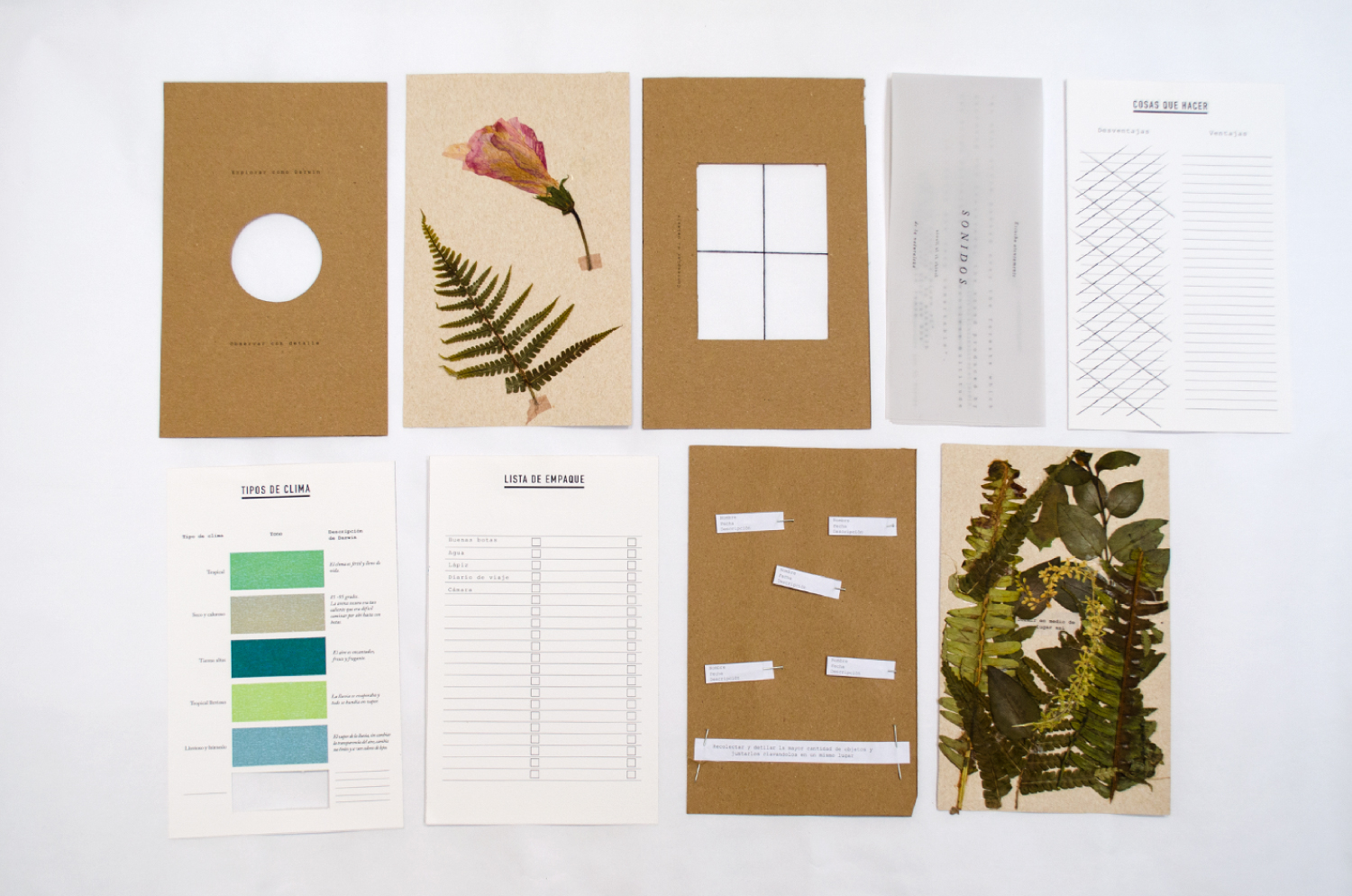 DARWIN EXPLORATION GUIDE (ART BOOK)