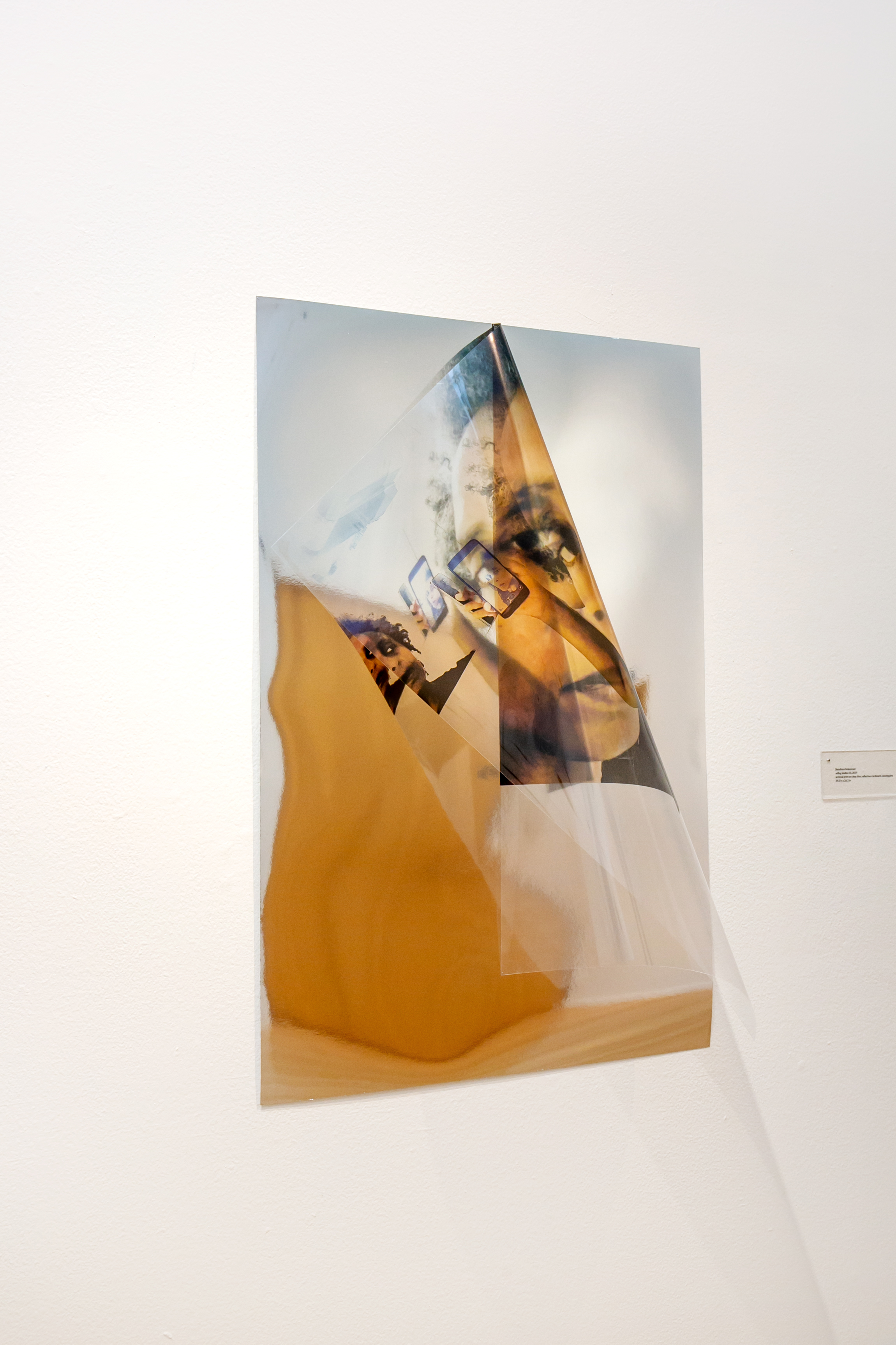 selfing-studies 03 (____) archival-print on clear film, reflective cardboard, dressmaker- pins 2019 39.5 x 26.5 in. Photo credit: Jeanette Nevarez