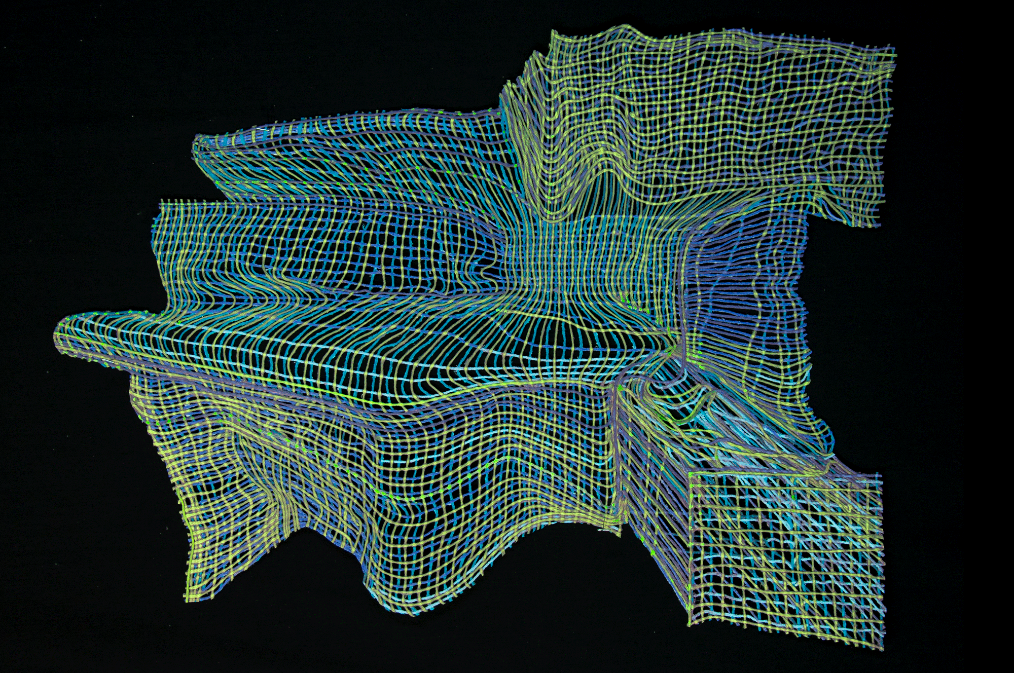 Night Vision, Hand woven cotton, stained with inks and pigments / Coton tissé à la main et teint à l’encre et aux pigments33” x 24”