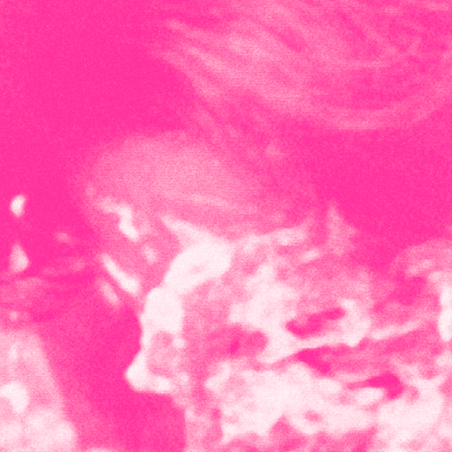 A closely cropped magenta-toned image of Anita Bryant’s face covered in pie. She looks downward, her image transformed almost entirely into abstraction by the whipped cream.