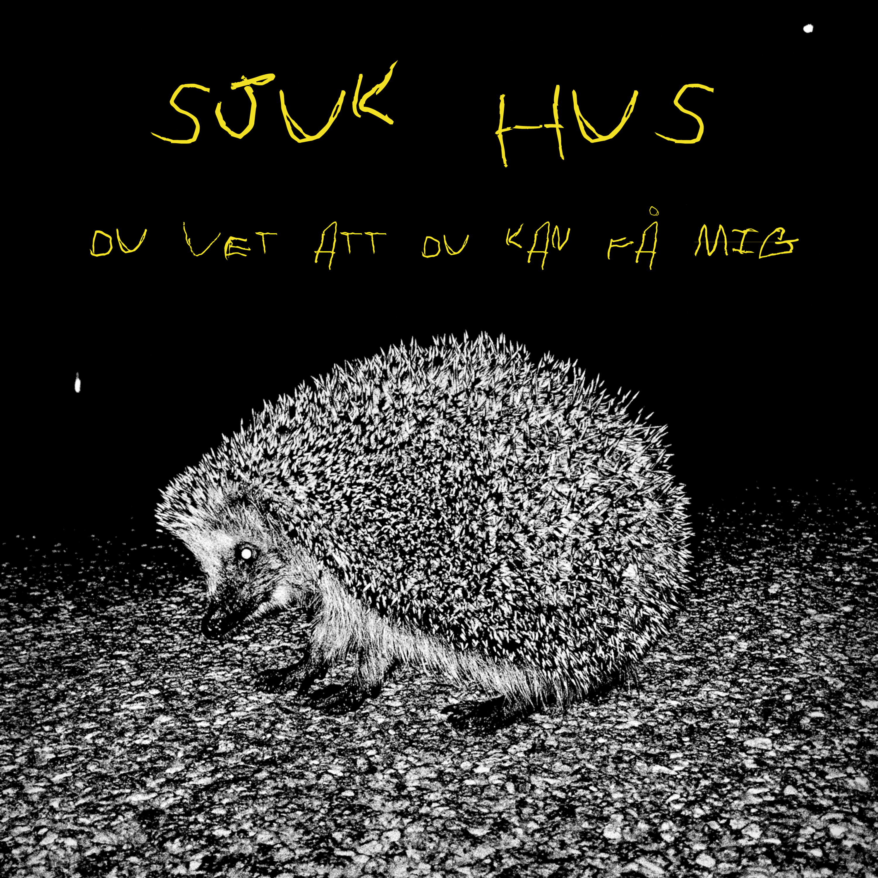 SEPREC108: SJUK HUS - Du vet att du kan få mig