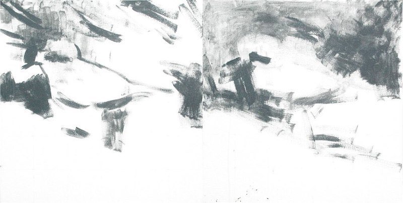 Two Birds  2001acrylic/canvas  18x36”