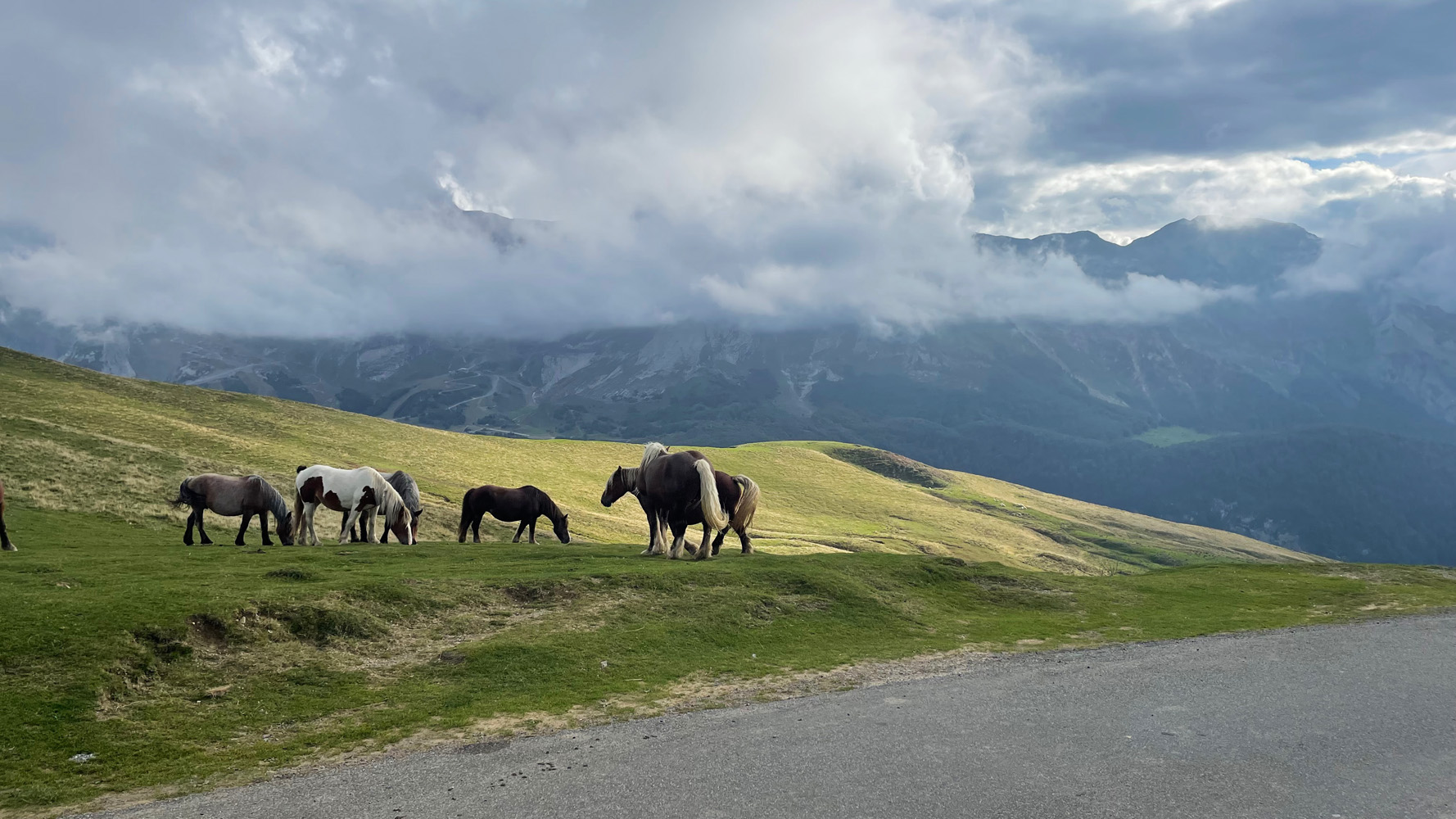 col d'Aubisque