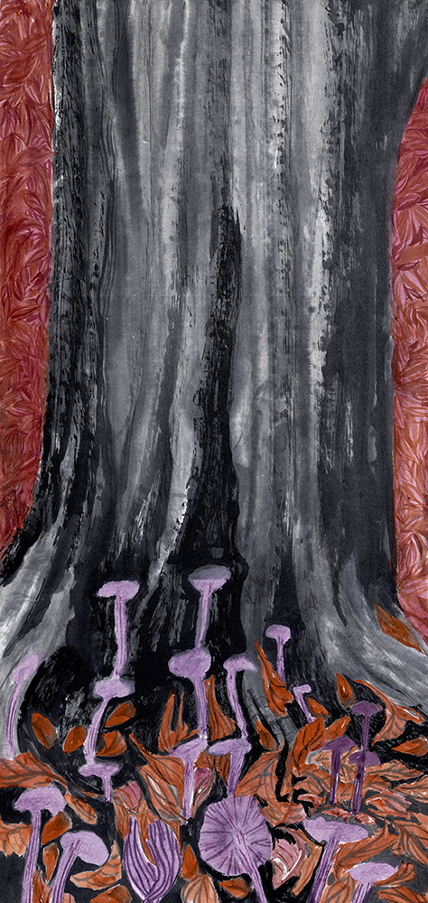 2020 beech tree / the broad, deep gills of the amethyst deceiver are widely spaced and interspersed with shorter gills, 75cm x 35,5cm