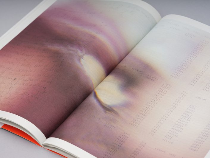 Litho&emsp;Client: Akademie der bildenden K&uuml;nste Wien // Graphic Design: Astrid Seme // Publisher: Mark Pezinger Books // [photo: Michael Goldgruber] // UPDATE: eines der sch&ouml;nsten B&uuml;cher &Ouml;sterreichs 2024