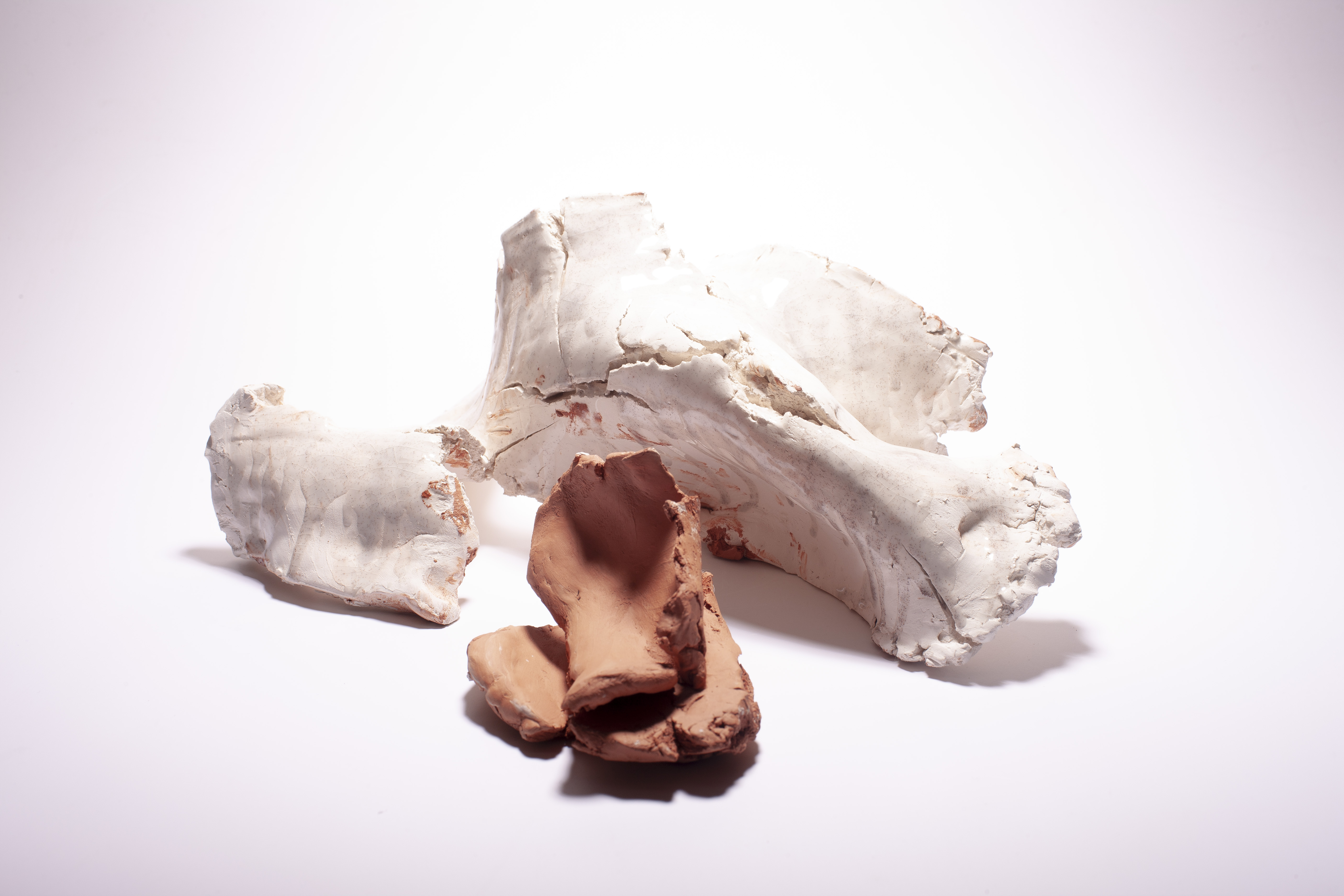 Cave - Diptych - Ceramic and Enamel  40 x 16 x 22 cm