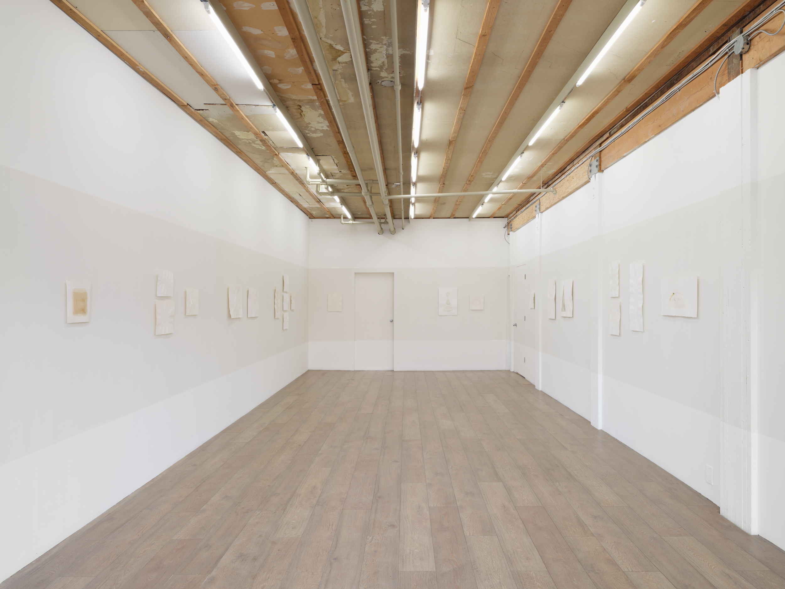 Judith Williams, Water / Colour, 2026. Installation view: Pale Fire, Vancouver. Image Credit: Rachel Topham