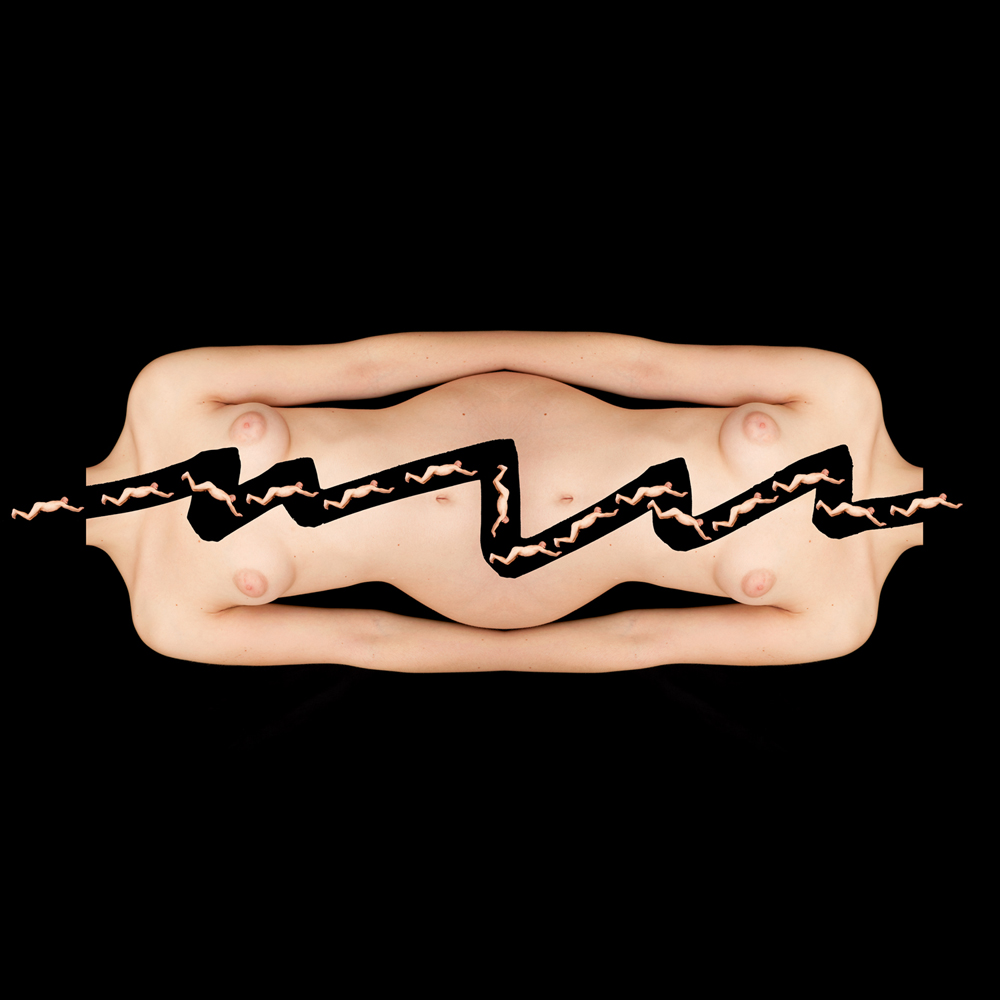 2011 05Charles Baudelaire, Les Fleurs du malCharles Baudelaire, Květy zla