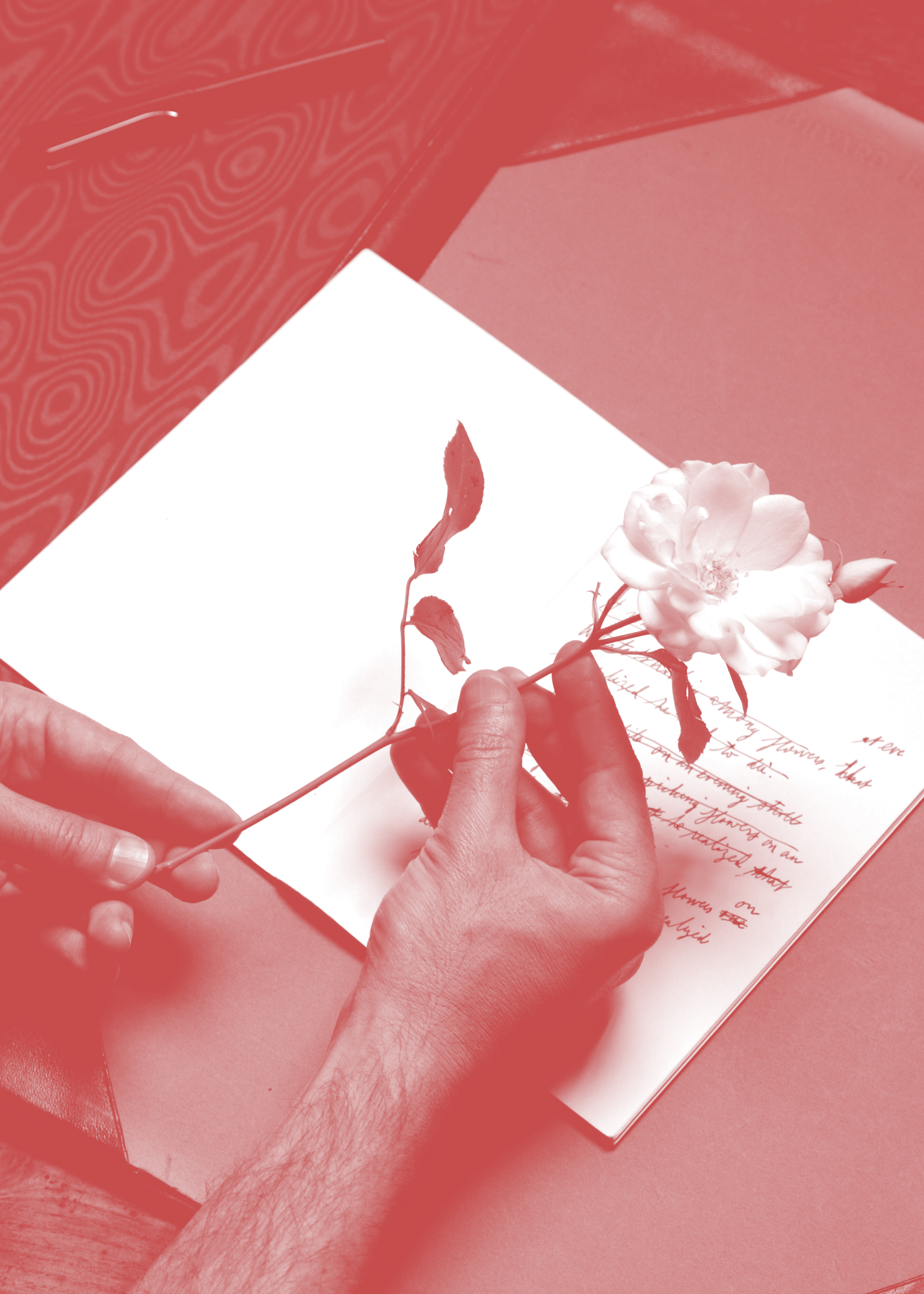 Prologues and Variations, 2018