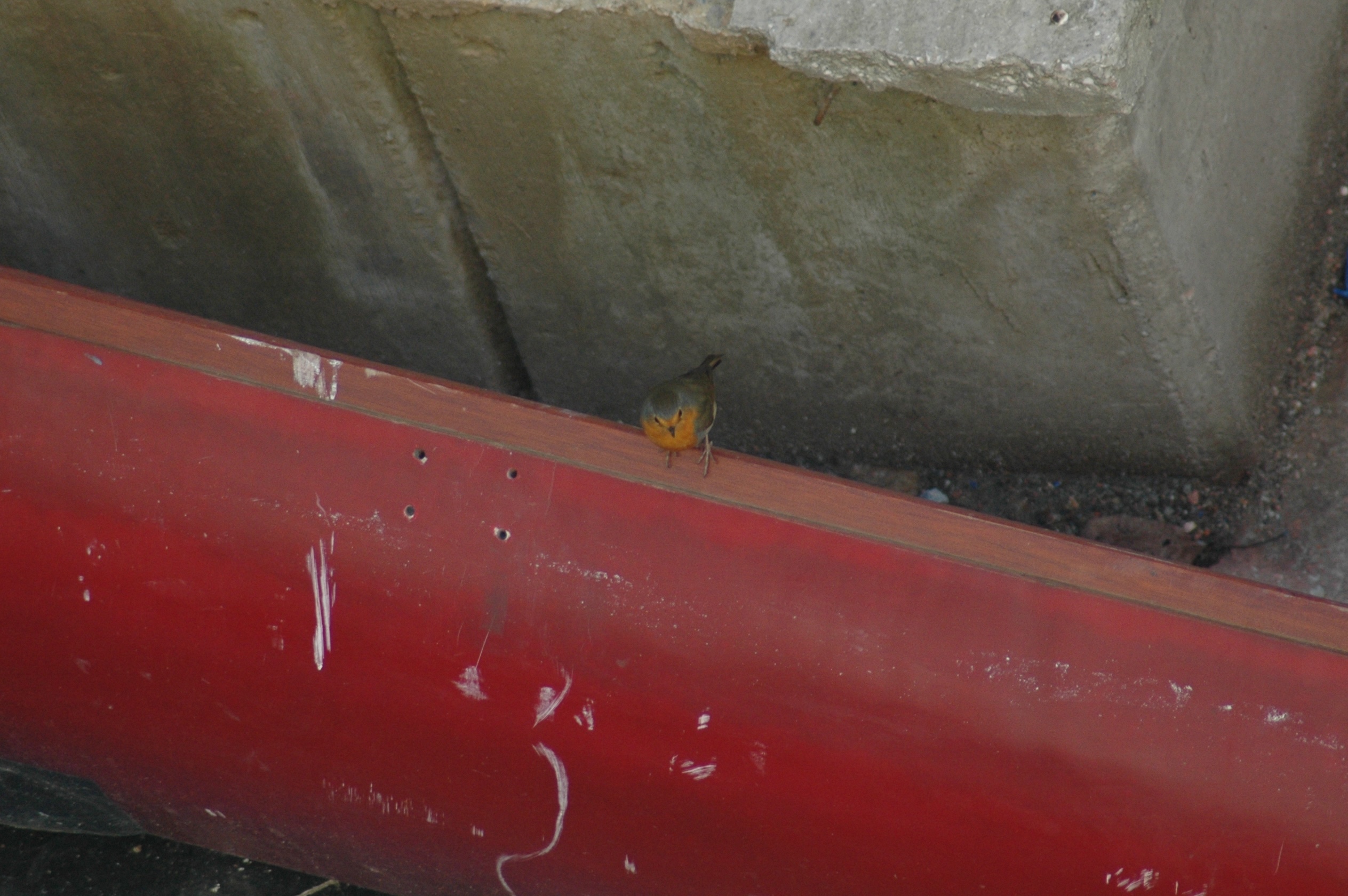 31.01.2012, Kışla Binası