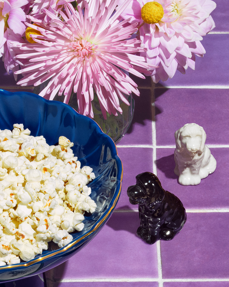 target x tabitha brown - vegan food & kitchen collection