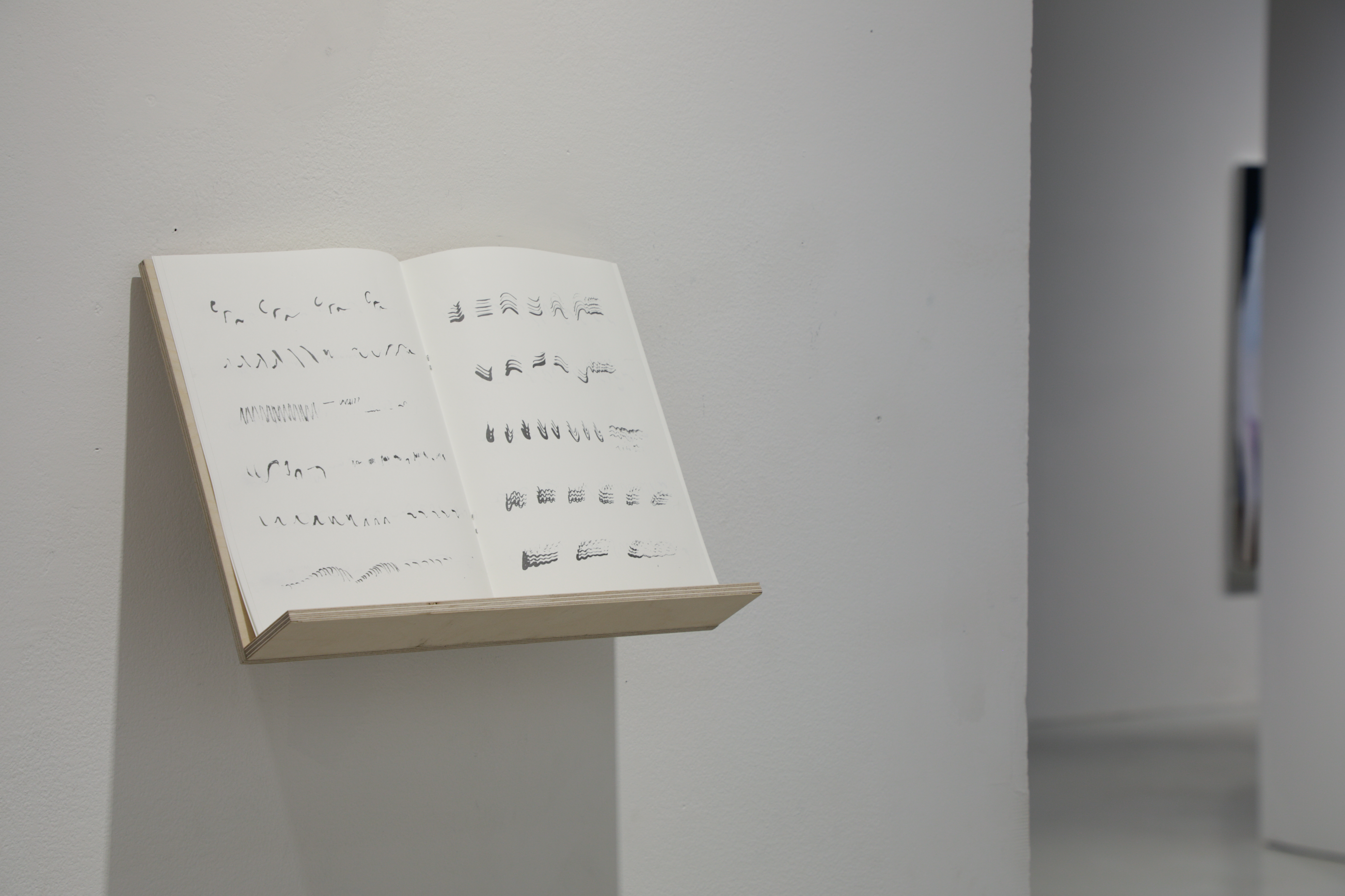 Leena Saarinen, Etydejä linnuille, 2020 