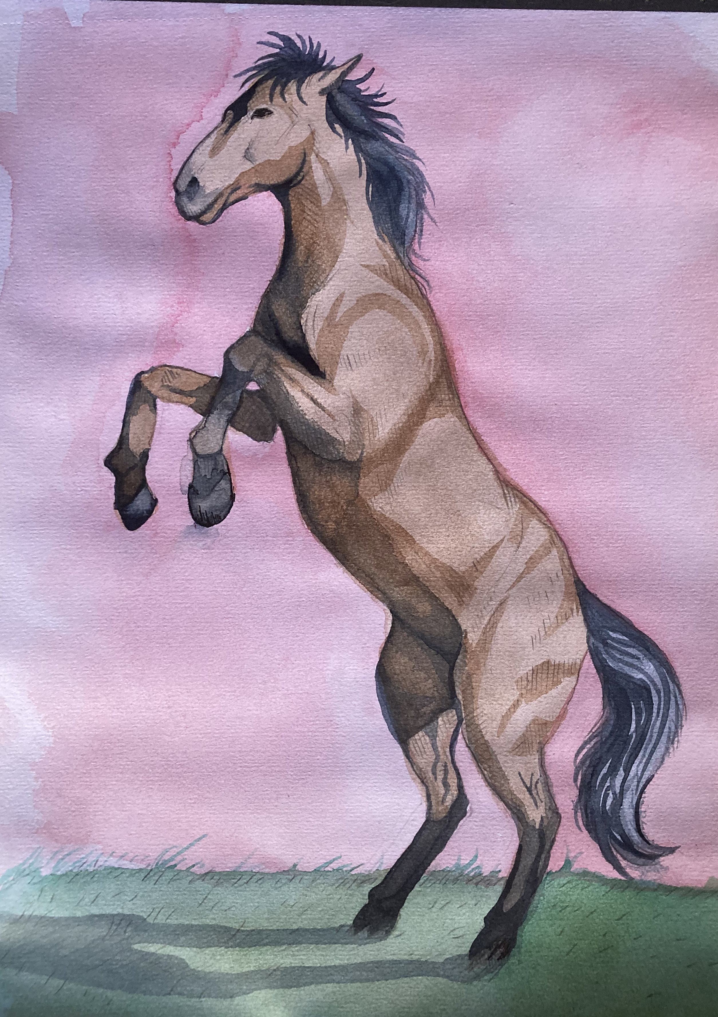Horse, watercolor, 2024