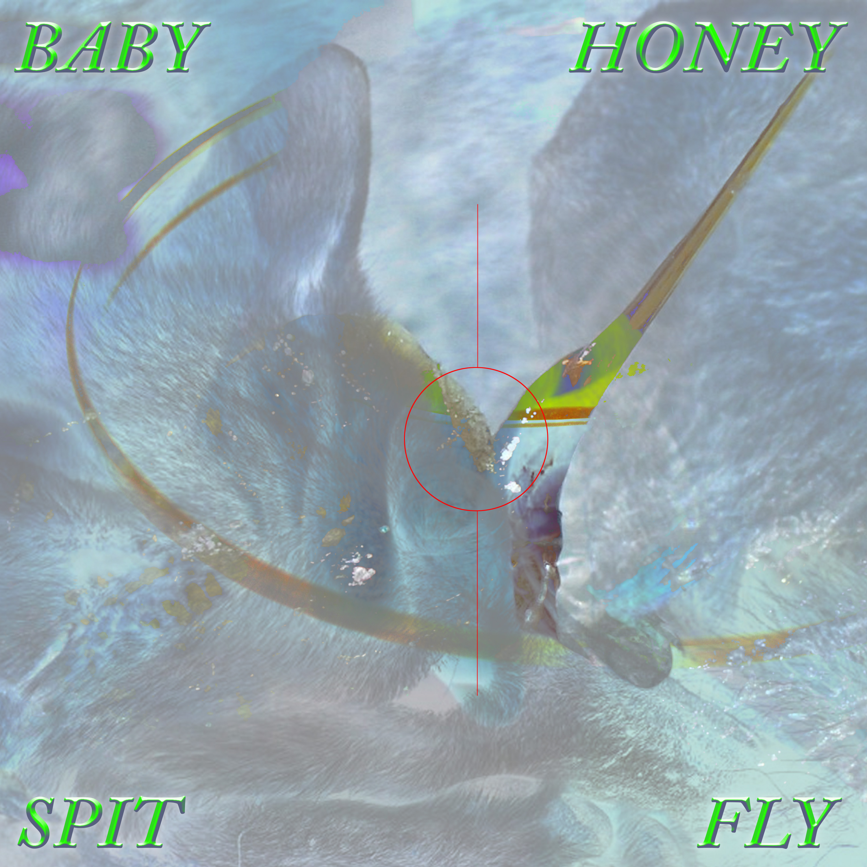 baby / honey / spit / fly