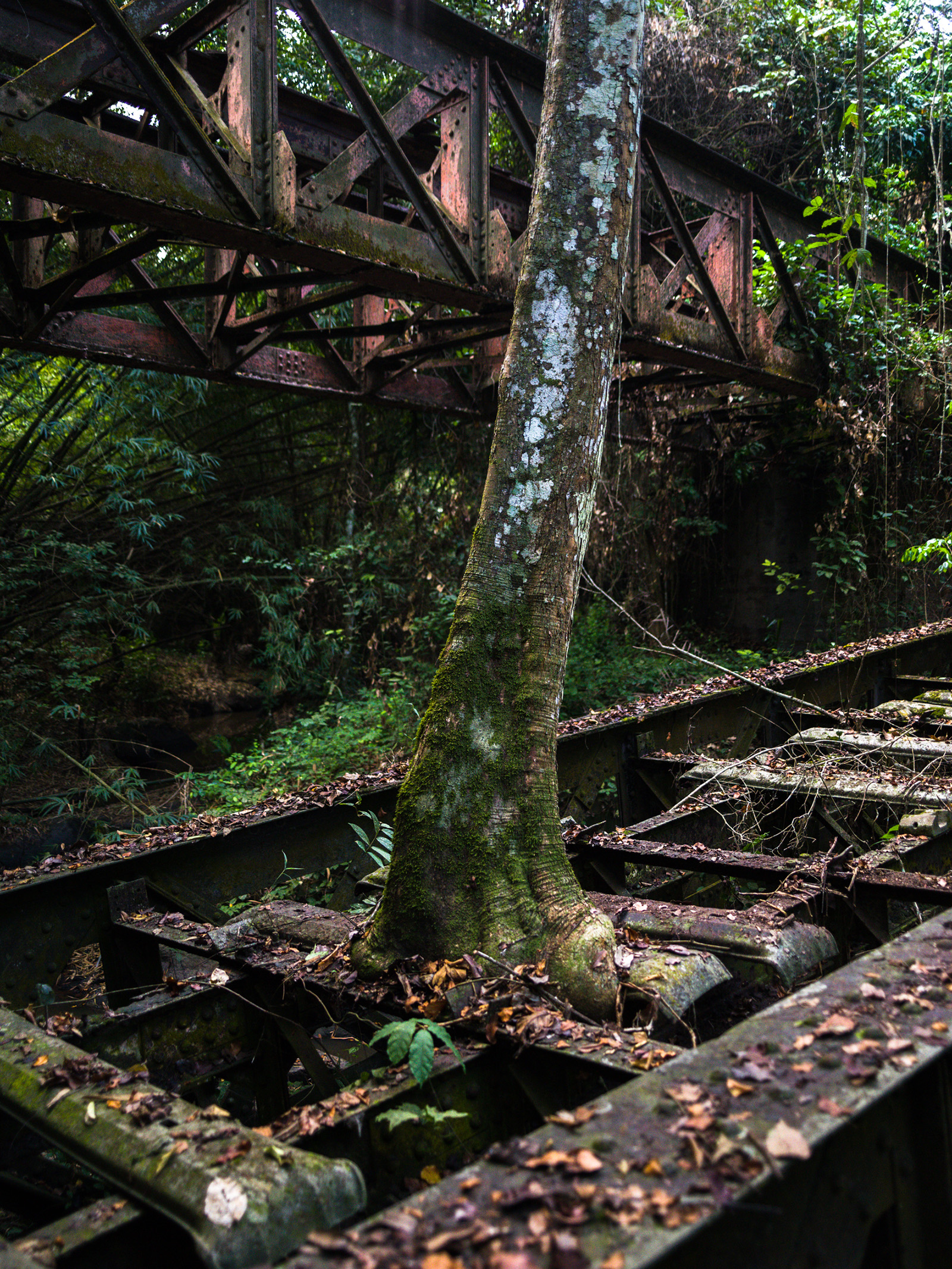 © François-Xavier GBRÉRubino #2, Radio Ballast, Paris, 2024 