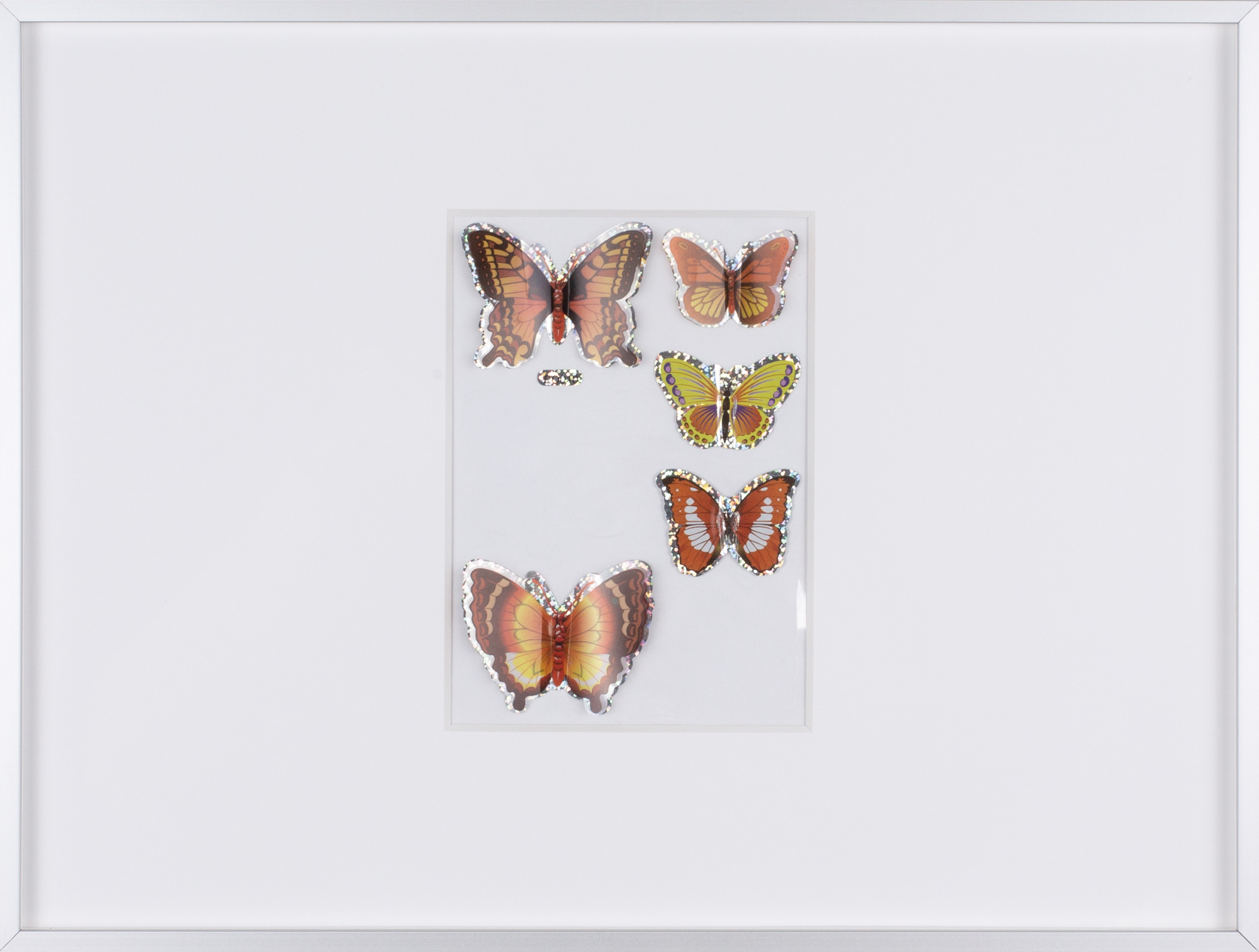 'Lepidopterist’s Archive' Michiel Ceulers