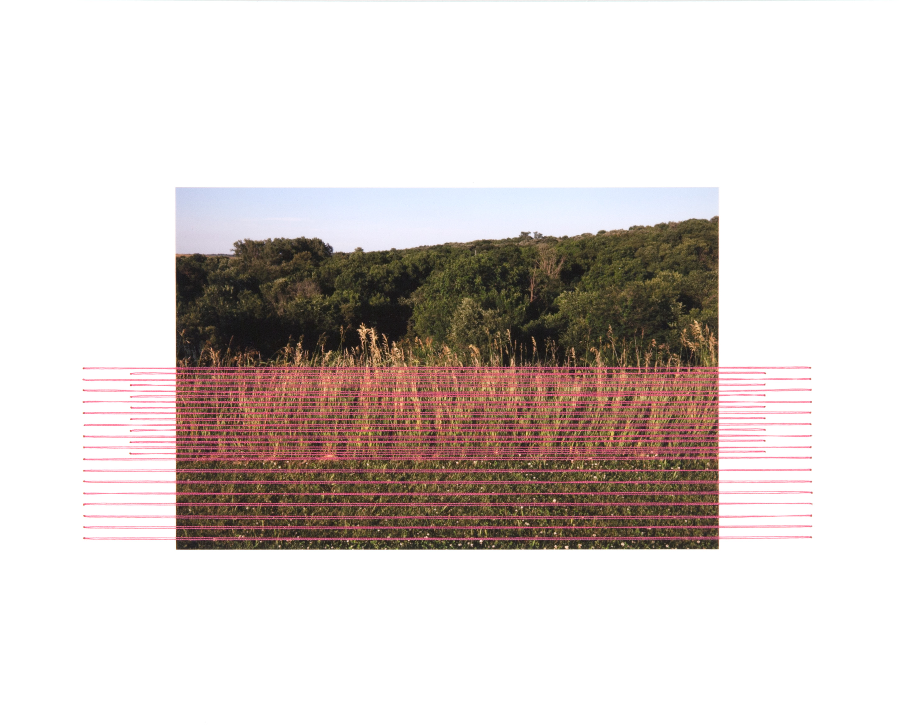Field Edging #15, Viking Lake State Park, Stanton, IA, 2019.