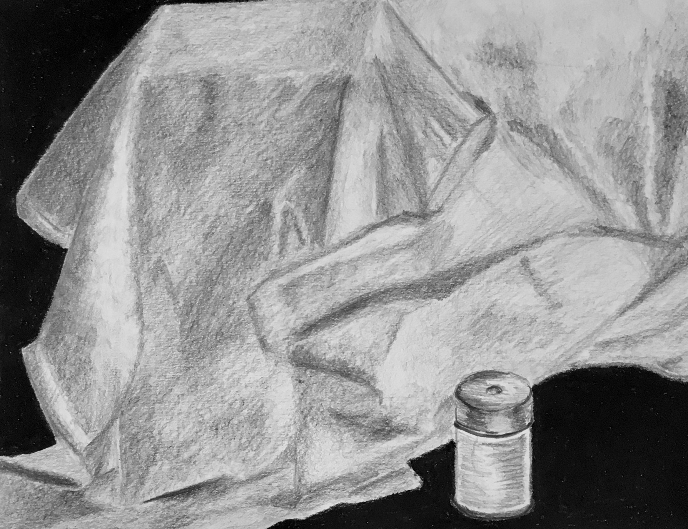 8.5" x 11" - graphite & charcoal on paper (2017)