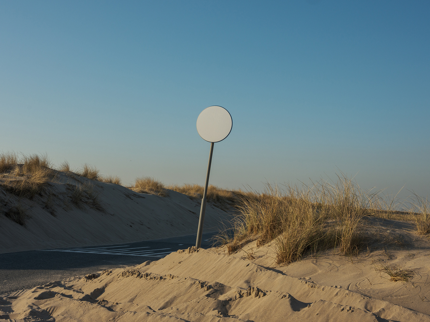 Dineke Versluis, Sign, Digital Photograph, 2021