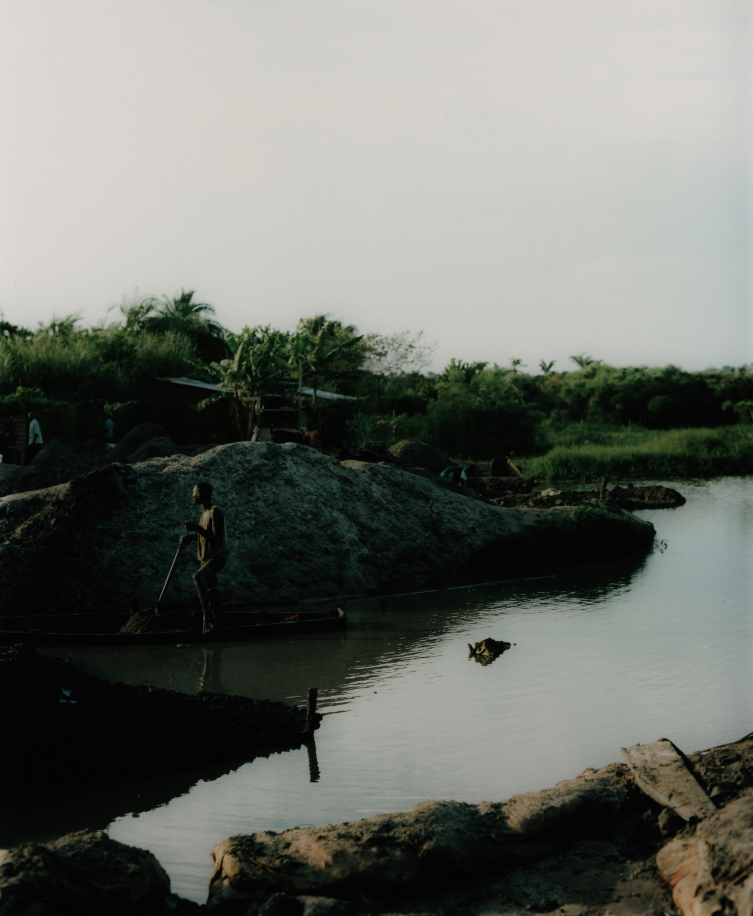 Canaries in the Goldmines