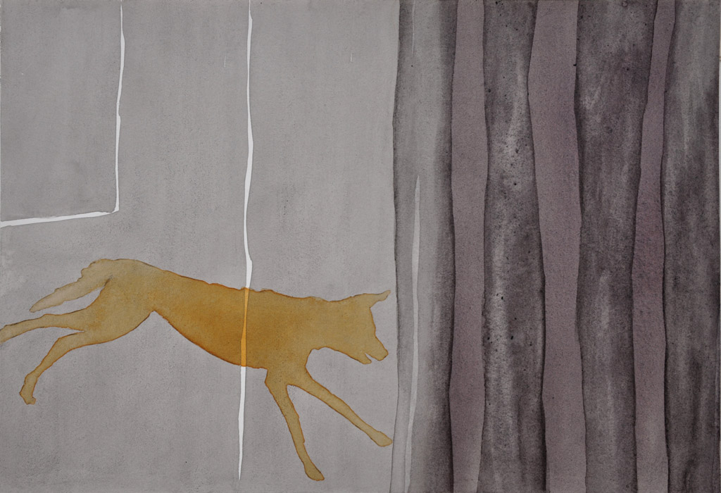 Dog, watercolour