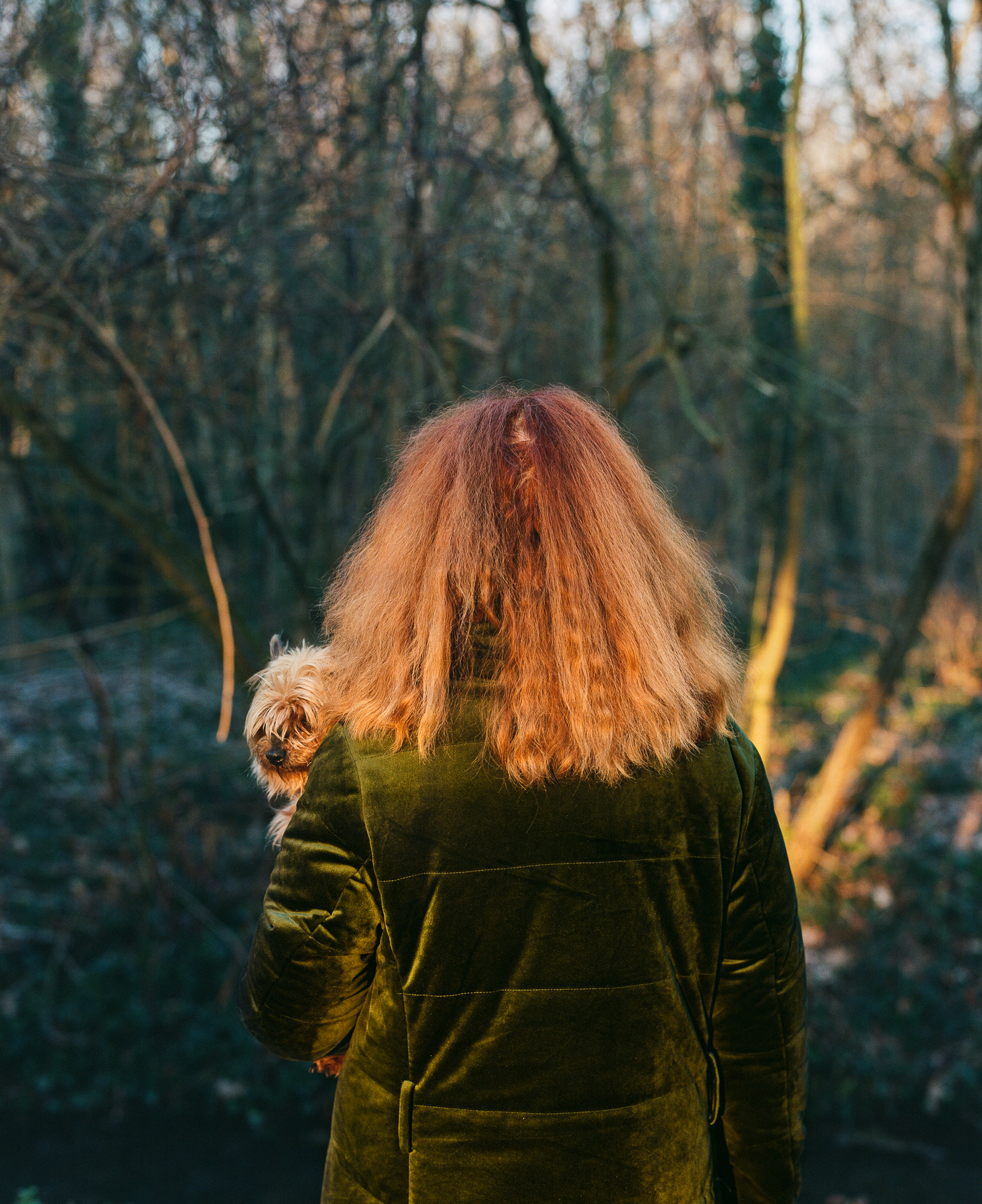 F. promène son chien au petit matin à l'orée du bois de Vincennes avant d'aller au sport, février 2023