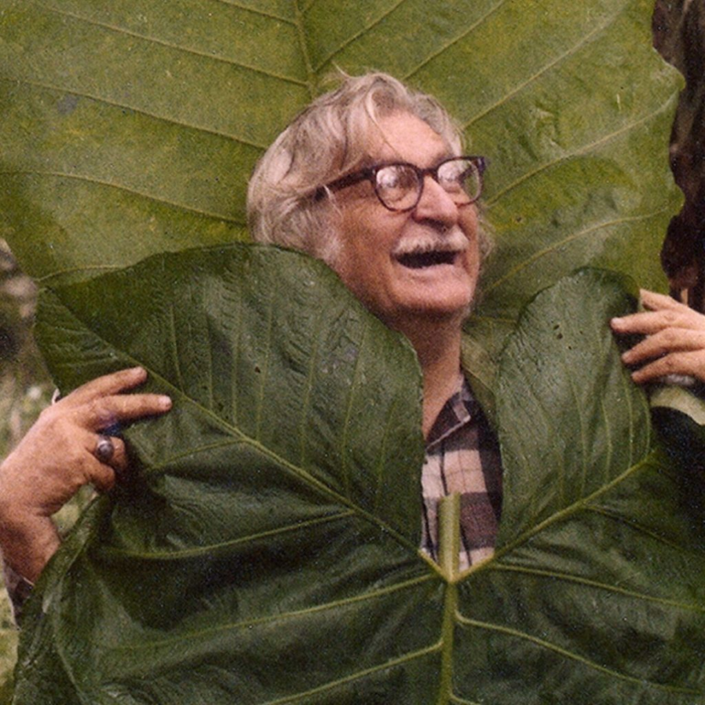 🎥 Roberto Burle Marx, just living