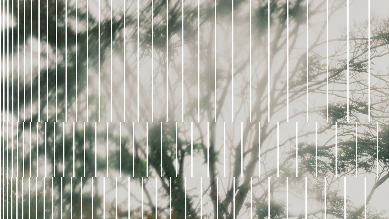 Fig.04. Alphasense Experiment