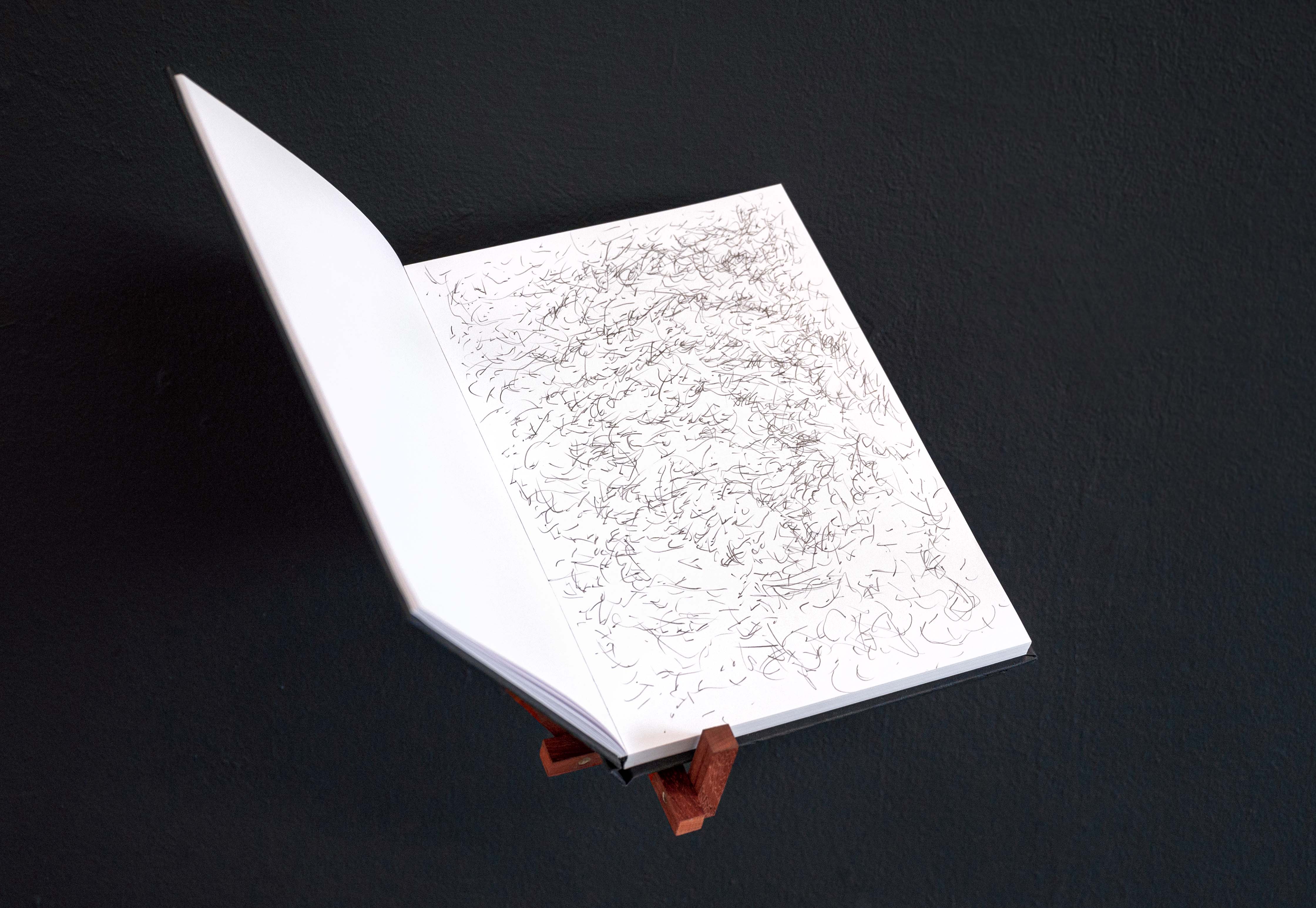 Aantekeningen (Annotations, open book)2021, ongoing