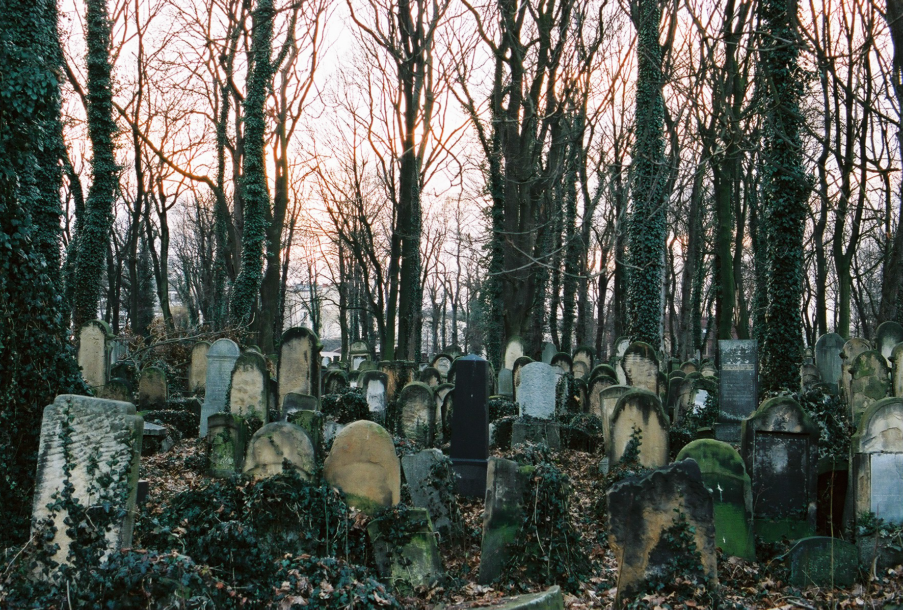 Cracovie, Pologne, 2018.