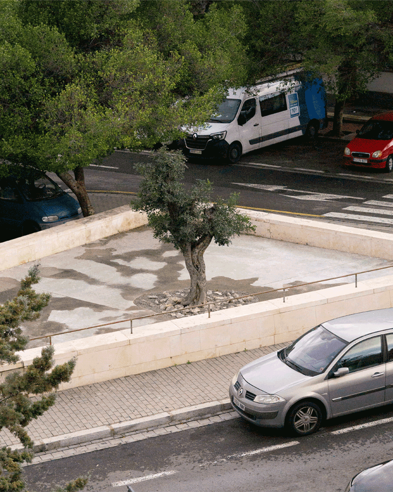 De un alcorque a un banco