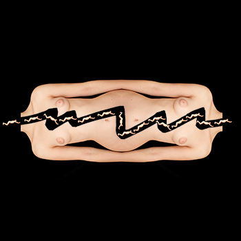 2011, Charles Baudelaire, Les Fleurs du mal