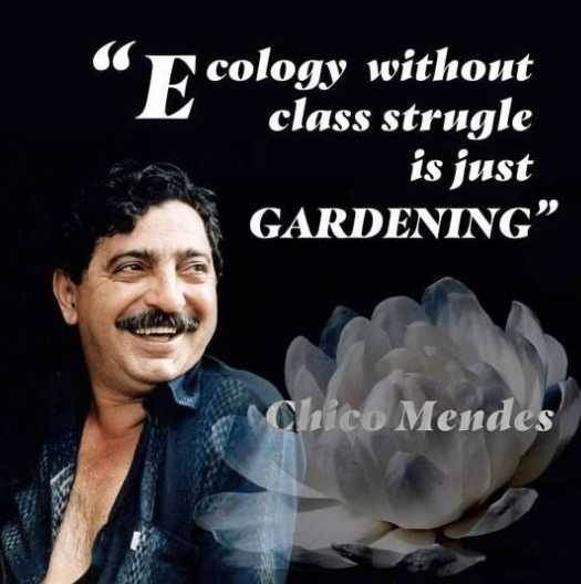 A Vergel in the Cloud