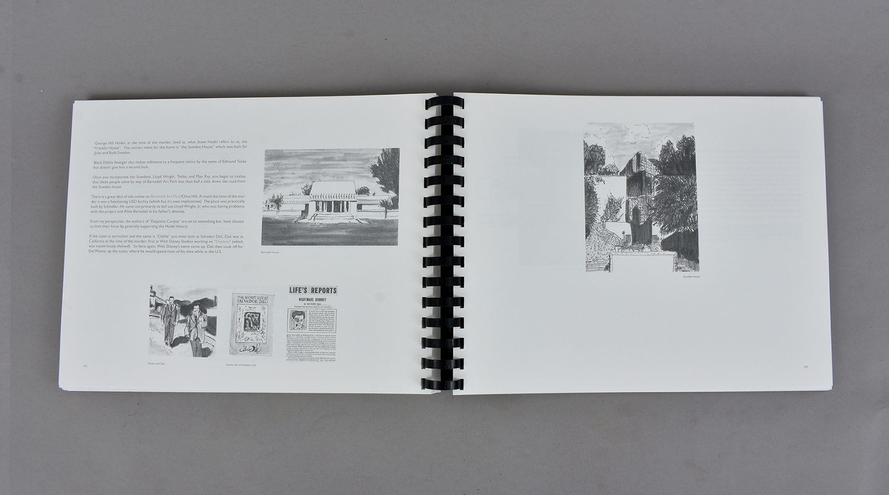 Interior Spread, "The Black Dahlia And Rudolph Schindler - A Blueprint For Murder by Crow"