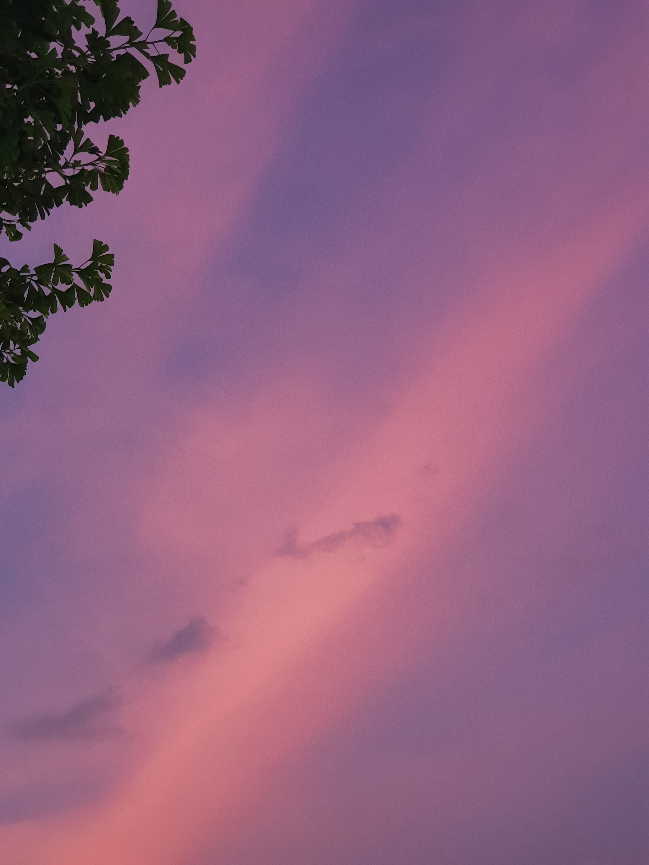 2020년 4월 15일 수요일(Republic of Korea)