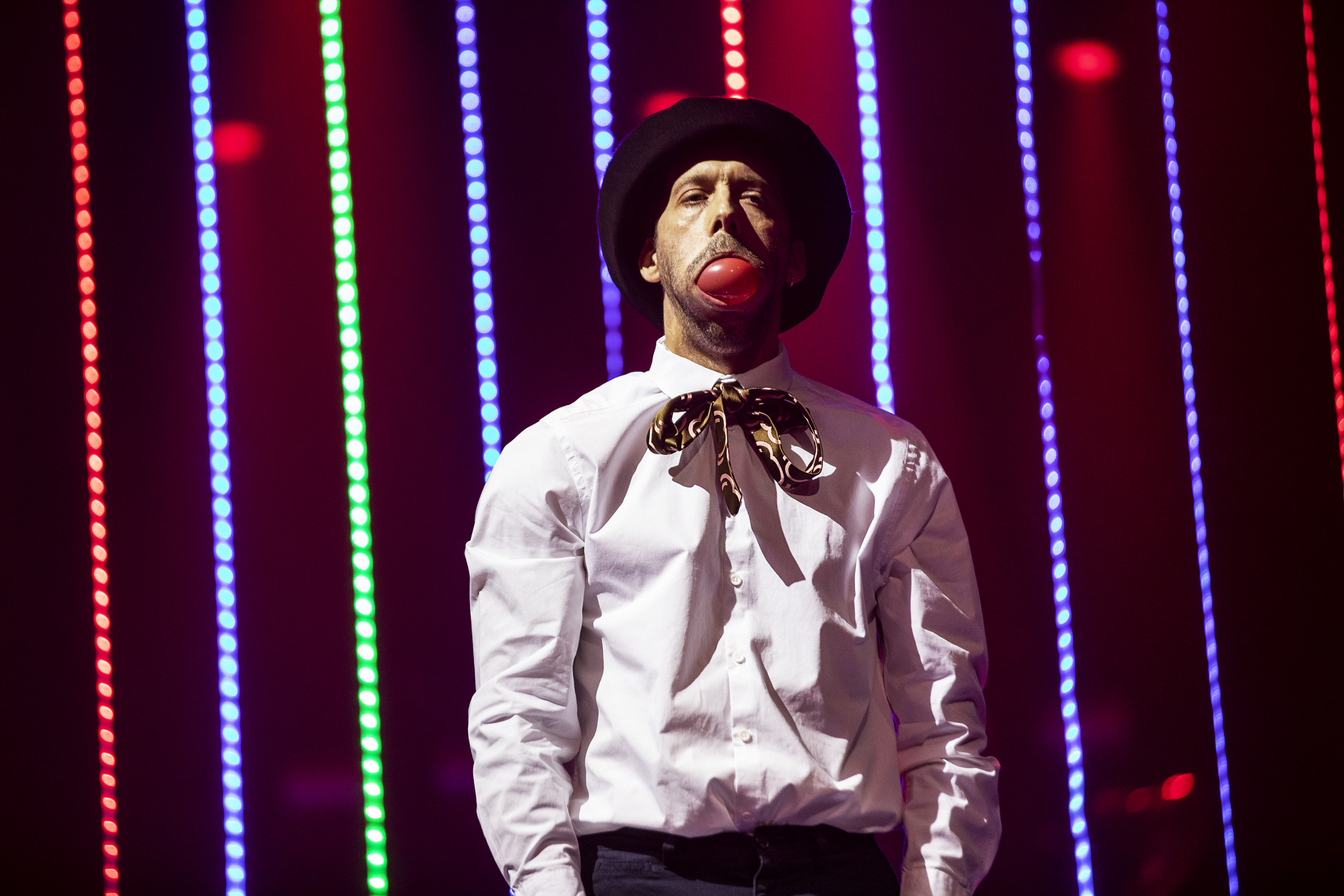 Casimiro e Carolina - 2018