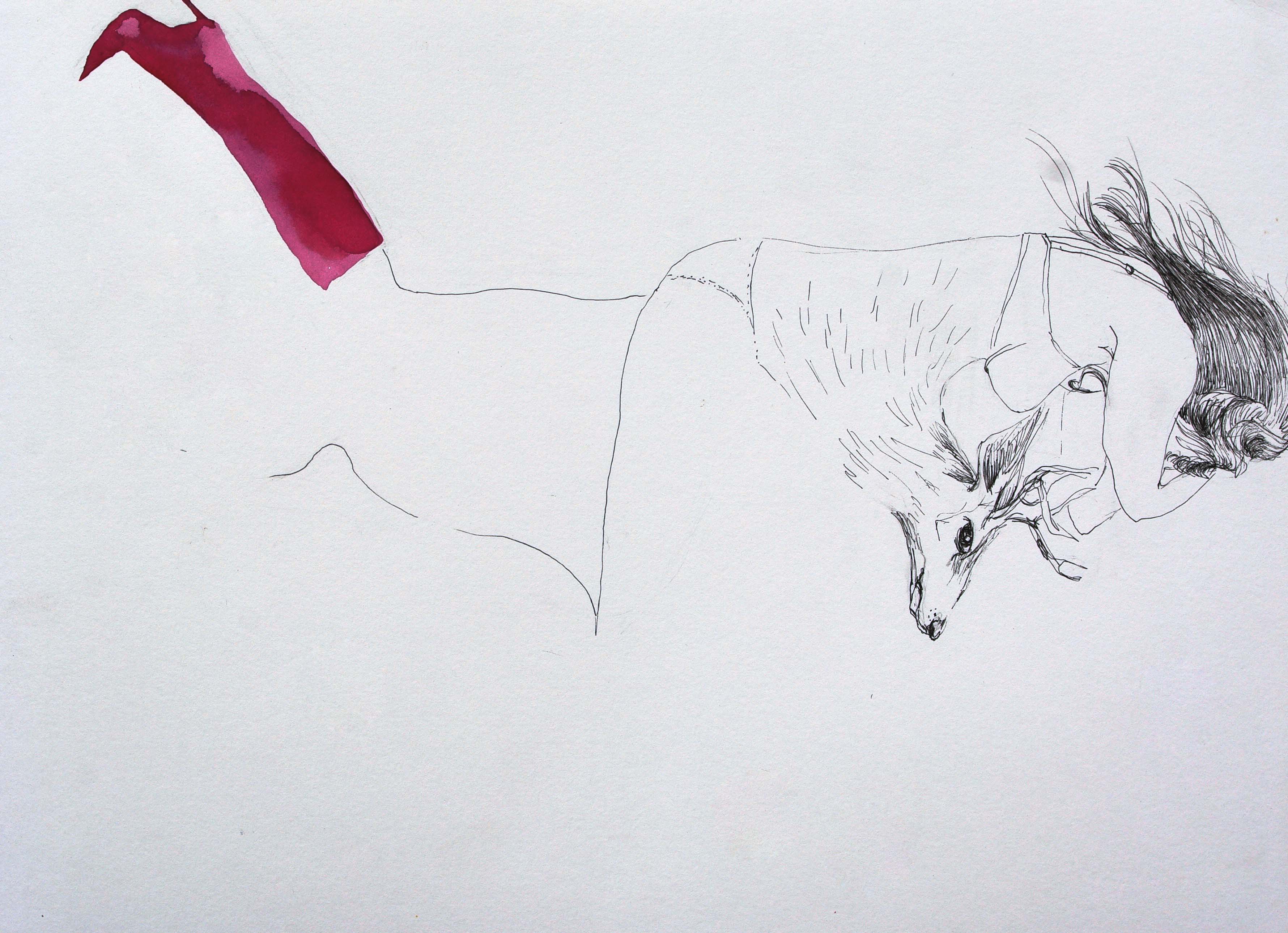 Deer, 29,7 x 42 cm, techniques mixtes, 2010