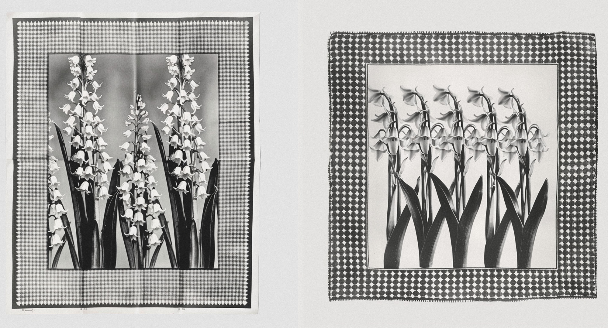 Silk scarf print designs (personal project)