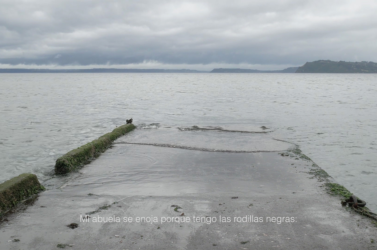 Constanza Alarcón TennenPensamientos prematuros sobre tu/mi horizontalidad, 2017Video digital Full HD5’ 40’’