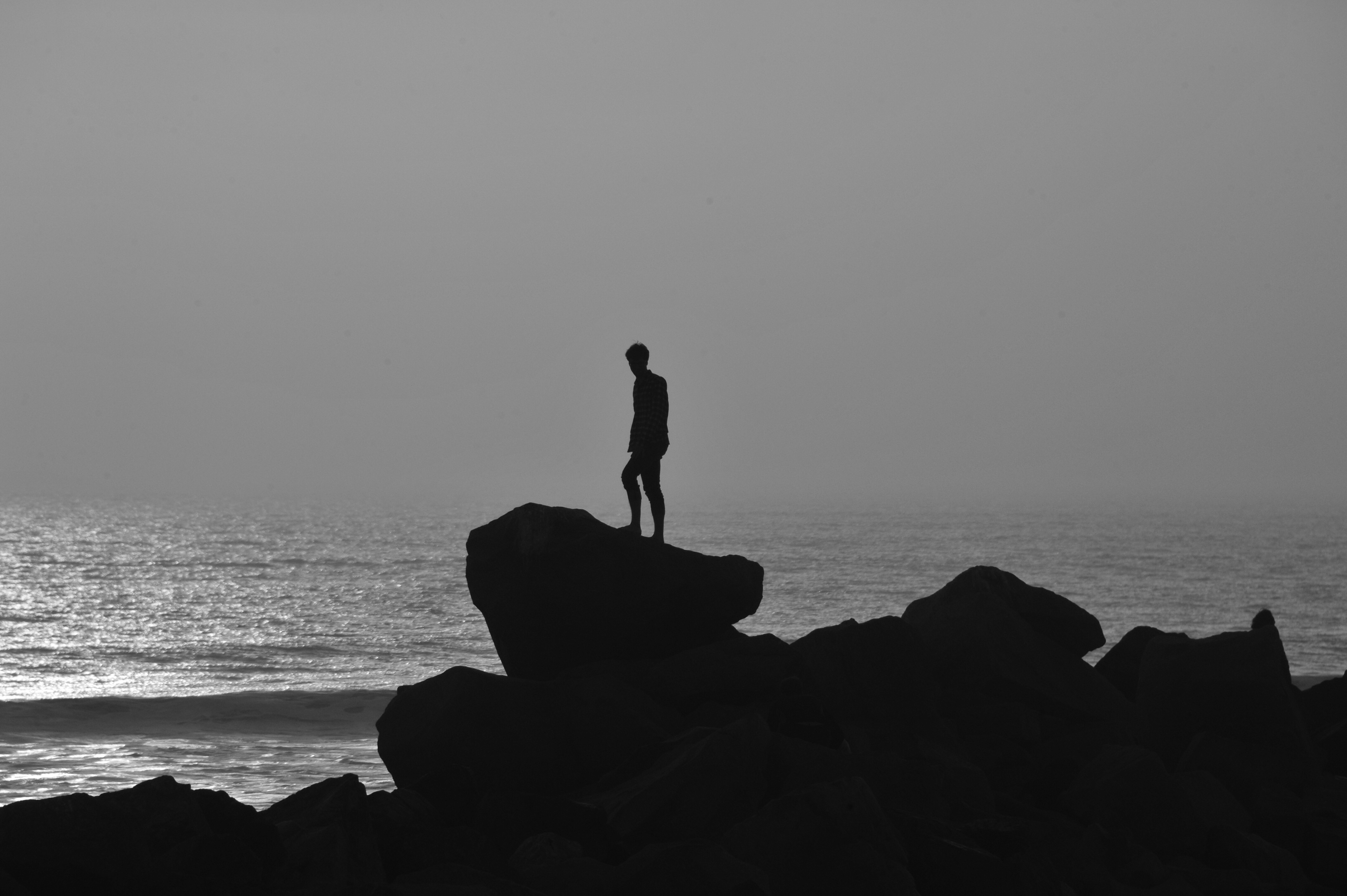 DSC 6437 San Diego BUY THIS PRINT