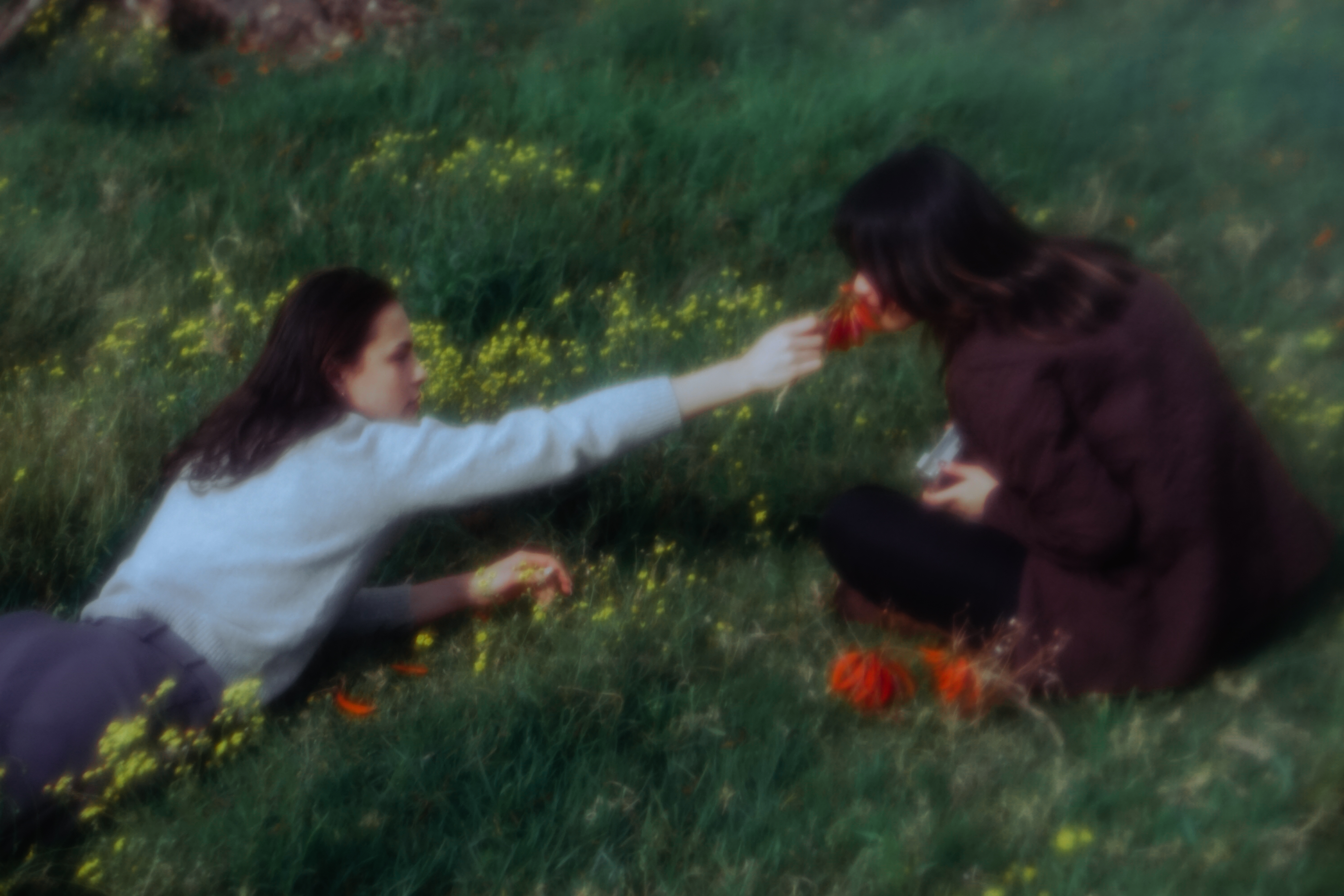 Grass Is Greener (2020)