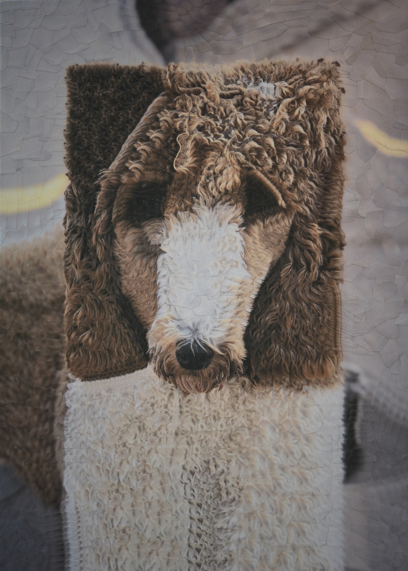 Nova, 2020, 8.2 x 11.6 inches